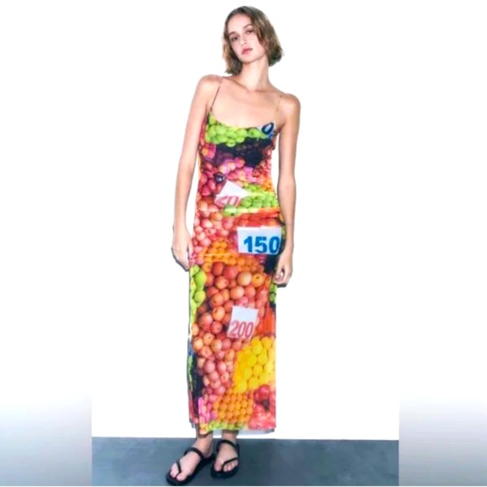 Zara Stretch Tulle Mesh Fruit Stand NWOT